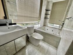 Angullia Park Residences @ Orchard (D10), Apartment #618844351